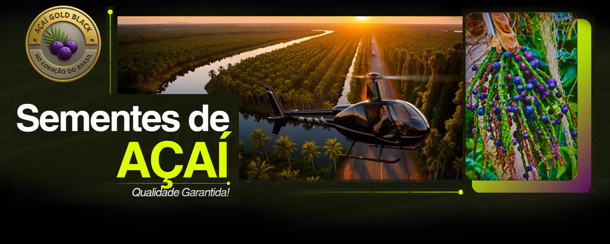 Açaí Gold Black - Sementes e Mudas
